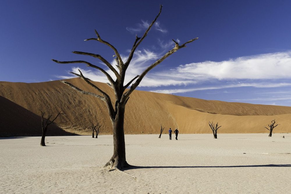 The Dead Vlei Sossusvlei Namibia