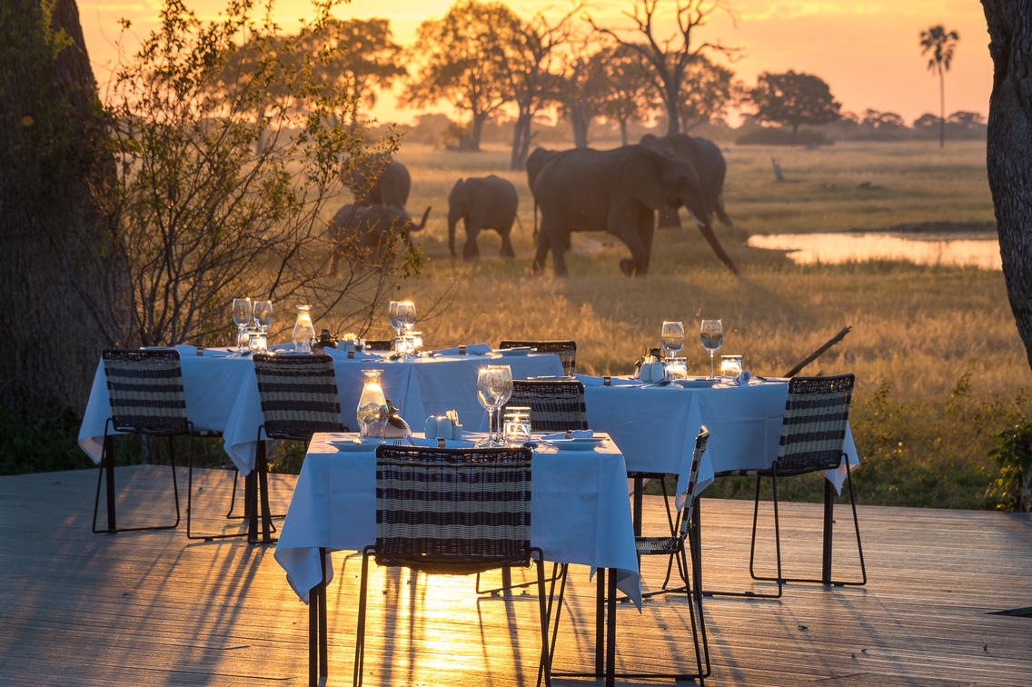 Elephants viewed from the outdoor dinning area at sunset, Linkwasha African Safari Zimbabwe