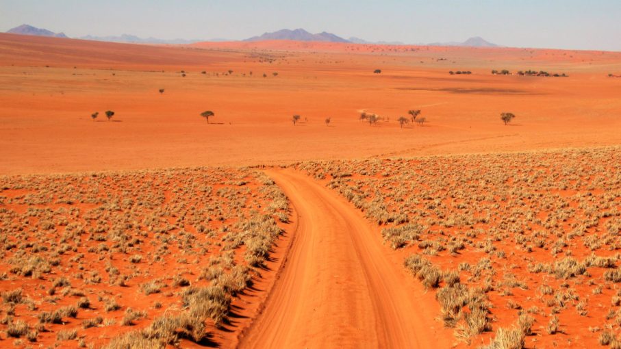 Wolvendans plateau - Namib Desert