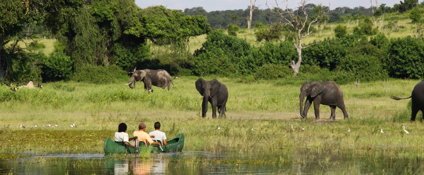 Canoeing the Chobe River along side elelphants - Namibia